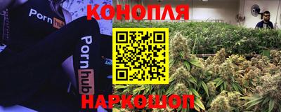 каннабис Гусиноозёрск