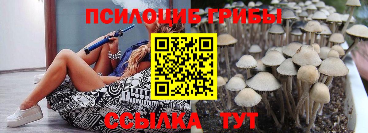 купить закладку  Псилоцибиновые грибы Psilocybine cubensis  Вход с VPN  Псилоцибиновые грибы GOLDEN TEACHER  Нарткала 
