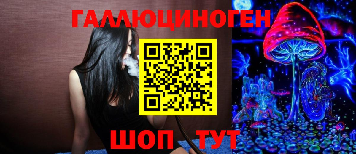 Псилоцибиновые грибы Psilocybine cubensis Нарткала